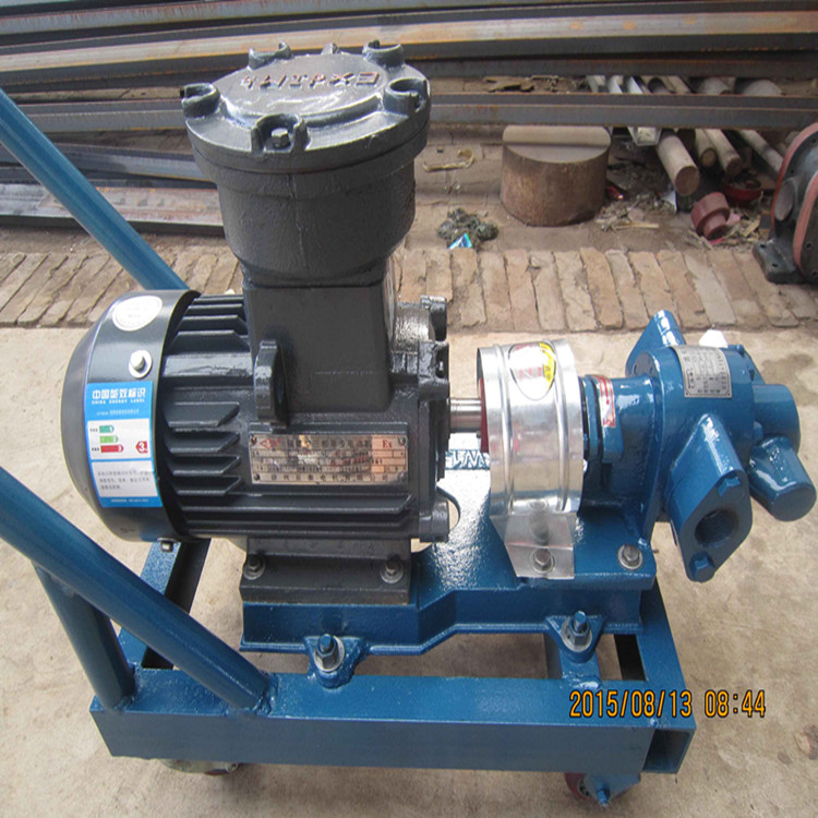 金海泵业直销 KCB齿轮泵 高压耐磨食品齿轮泵