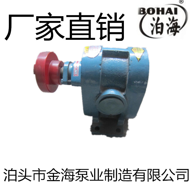 2CY齿轮泵 系列皂液泵 渣油增压泵