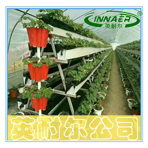 农业观光草莓立体种植槽 占地少 收益高 英耐尔制造