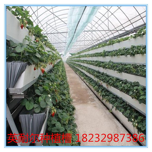 无土基质栽培槽 草莓A字架种植槽 英耐尔制造