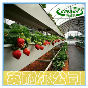 大棚草莓种植槽 无土栽培槽 立体栽培架