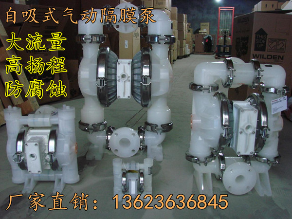 江苏徐州BQG-100/0.2进口气动风动隔膜泵
