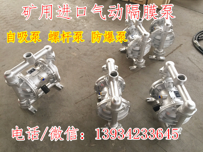 BQG555/0.2进口防爆气动隔膜泵用途20口径山