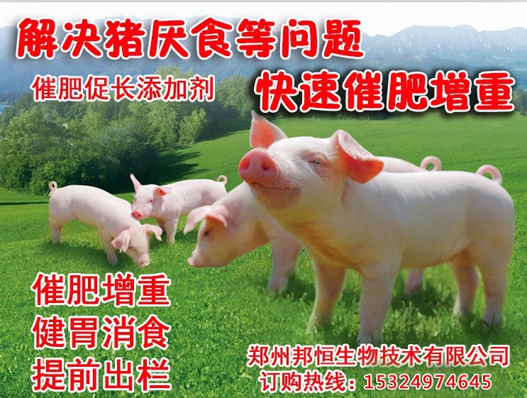 猪想催肥吃什么饲料添加剂