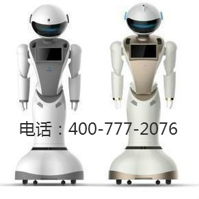 武汉企业迎宾机器人