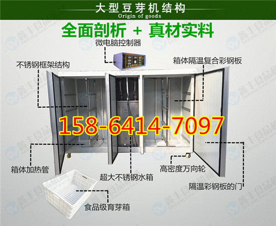 陕西汉中市豆芽机器 生豆芽机多少钱 全自动豆芽机厂家