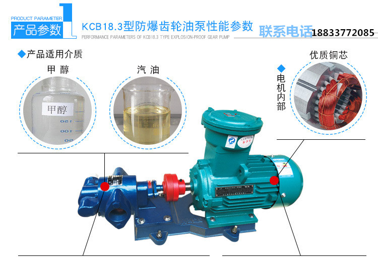 齿轮泵 专业生产 KCB-200齿轮油泵 增压燃油泵 防爆泵