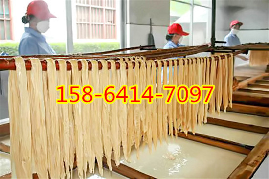 海南腐竹机多少钱一套 豆油皮机厂家上门安装培训技术