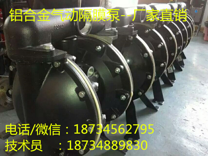 黑龙江哈尔滨BQG550/0.2进口气动风动隔膜泵  半寸