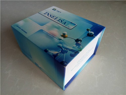 人试剂盒厂家 人胰岛素试剂盒 ELISA试剂盒价格 