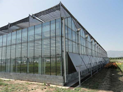 山东青州国兴文洛型温室 PC板玻璃温室设计建造
