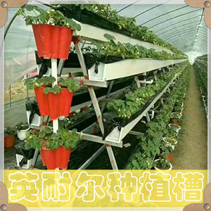草莓种植槽 大棚蔬菜种植槽 草莓立体栽培 英耐尔