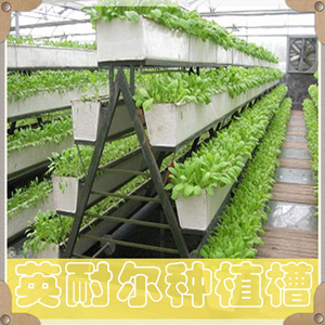 温室基质槽 草莓立体种植槽 可定制