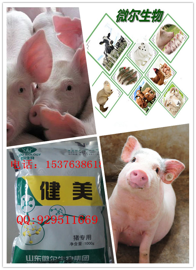 猪用益生菌促进消化减少过料