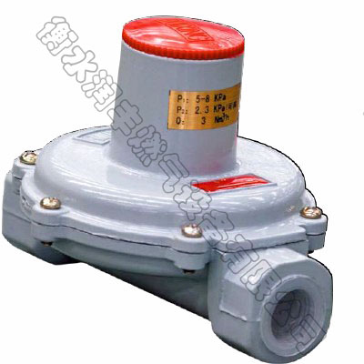 润丰燃气调压阀中压进户家用燃气减压器RTZ热水器专用
