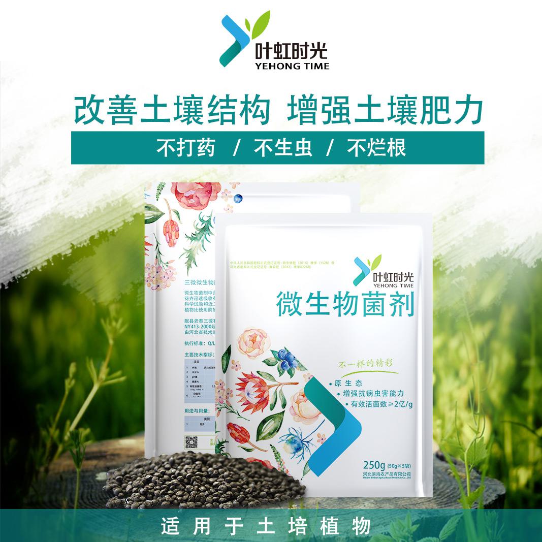 上海 微生物菌肥与生物菌肥的区别