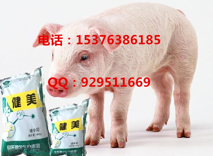 猪用益生菌促进消化减少过料