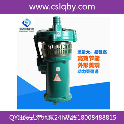 保定QY160-10-6.510米扬程潜水泵