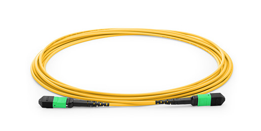 1M 12芯 单模 OS2 MTP主干光纤跳线 40