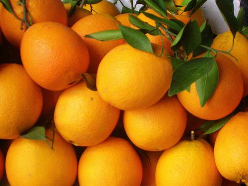 代銷水果 沃柑、臍橙、李子等各種應季水果