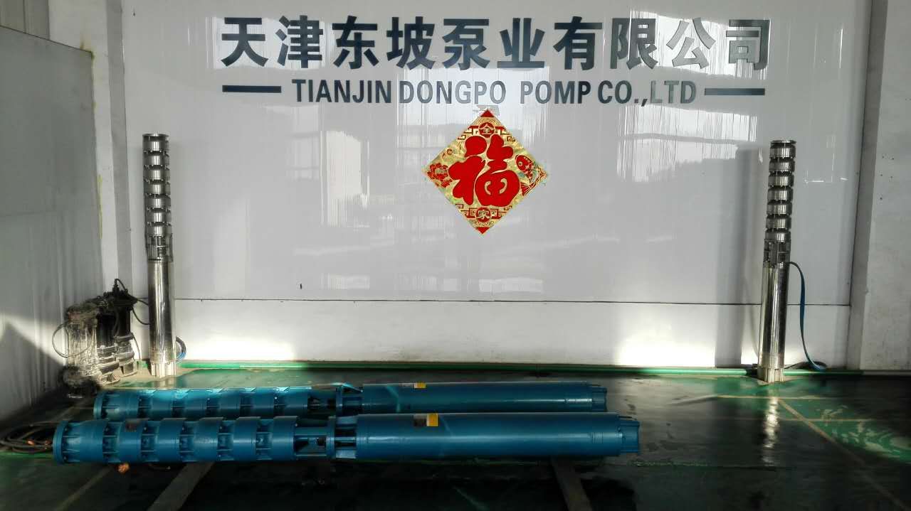 温泉潜水泵-温泉潜水泵现货天津东坡泵业