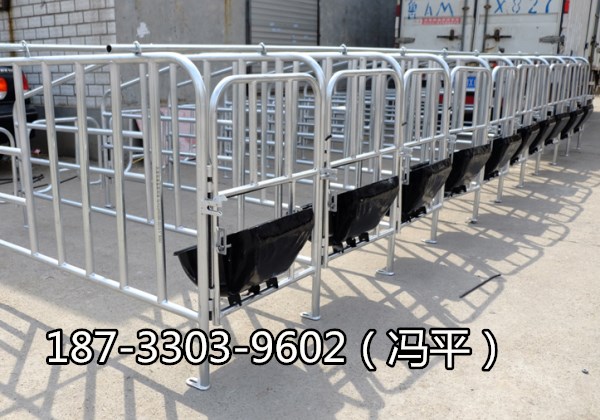 内蒙古热镀锌国标管定位栏母猪保胎栏厂家供应