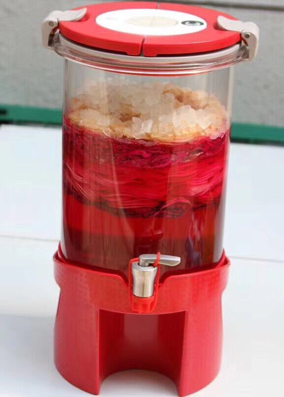 自制果汁发酵玻璃罐,储酿密封罐 营养均衡 补充各种维
