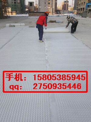 (平顶山地下室滤水板)屋顶绿化排水板15805385