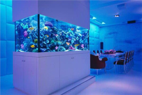 亚克力鱼缸定制 上海亚克力鱼缸定制 就找爱瑚质量保证
