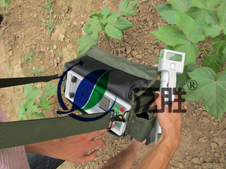 FS-3080C植物蒸腾速率测量仪