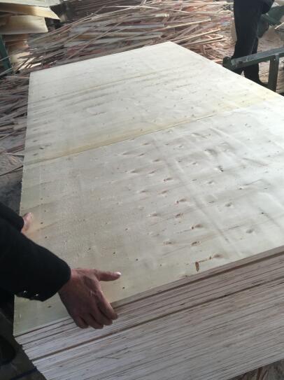 胶合板 多层板 包装板 托盘 包装箱用板 板材生产厂