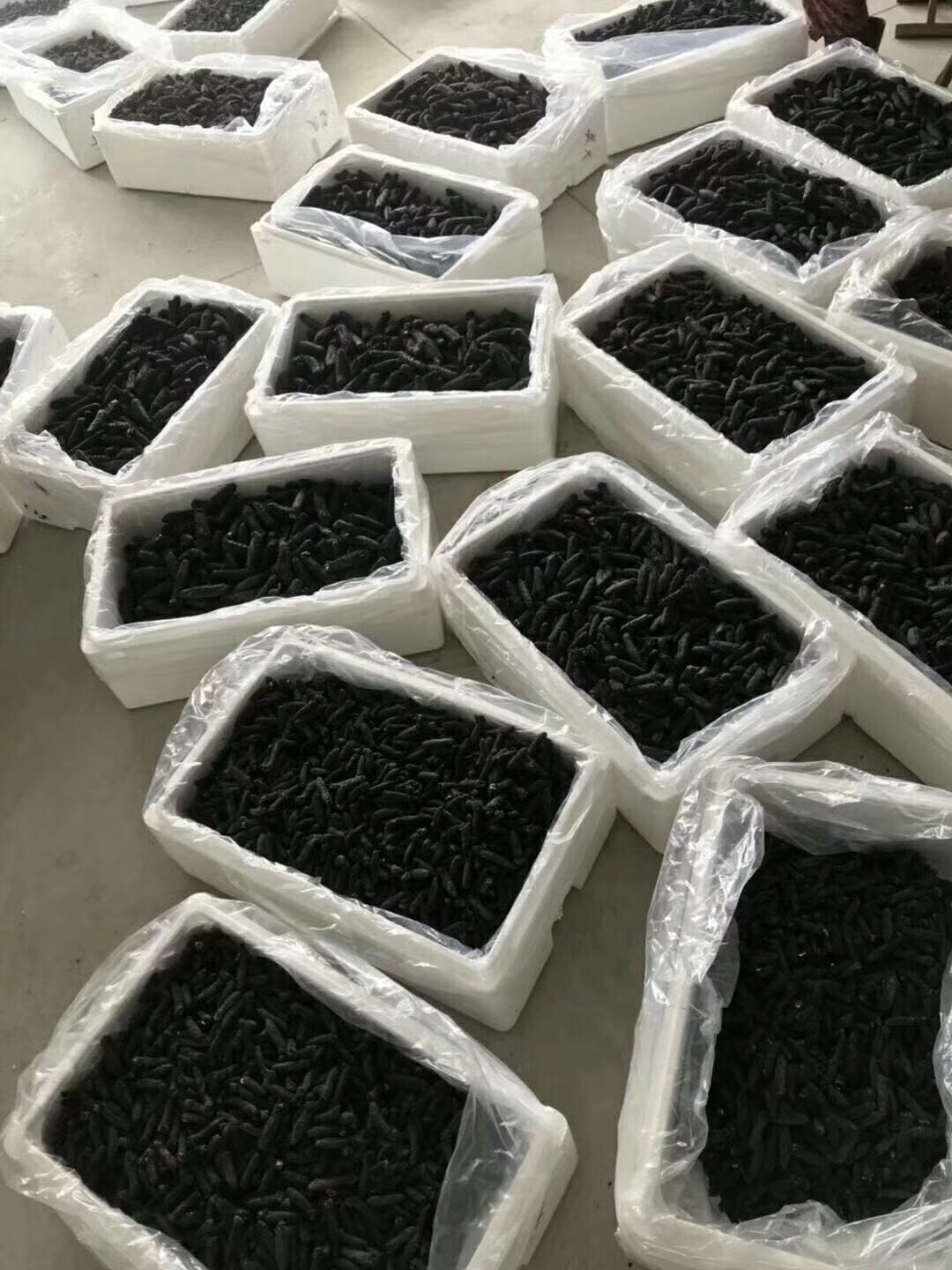 杭州海参多少钱一斤 海参的营养价值