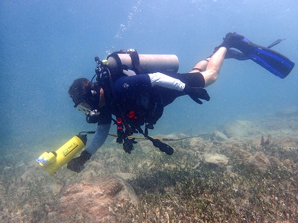 DHC-2潜水员手持式水下相机
