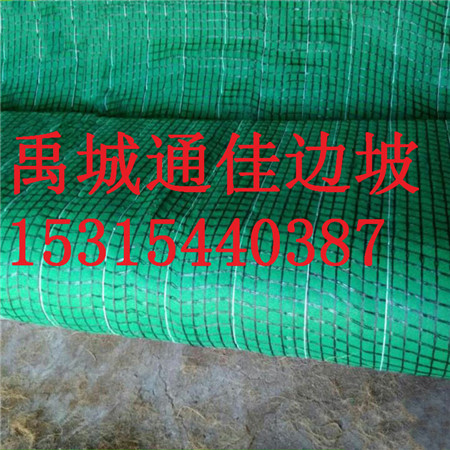 厂家生产抗冲生态毯环保护坡绿化  生态植被毯 价格低