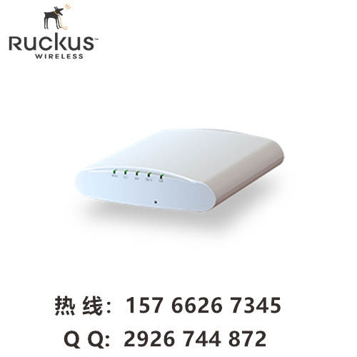 ruckus R610 优科901-R610-WW00