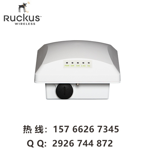 ruckus T300 优科901-T300-WW01