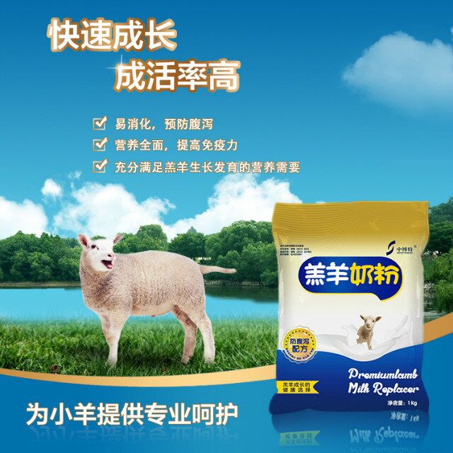 刚出生小羊吃什么奶粉代乳粉