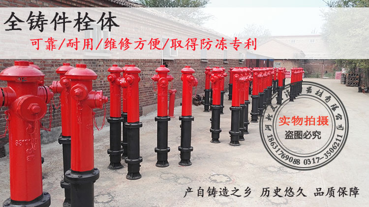 铁狮 地上式室外消火栓SS100/65-1.6防冻专利消防栓