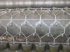 石笼网由高抗腐蚀、高强度、具有延展性的低碳钢丝或者包
