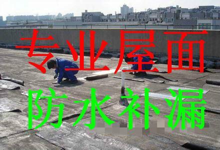 东莞市专业防水补漏有限公司