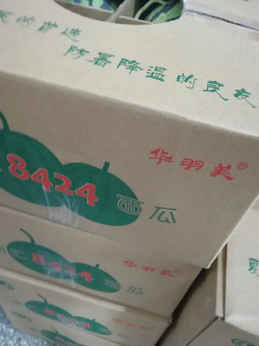 南汇8424西瓜火爆销售中,吃瓜的季节又来了!_上海瑶利