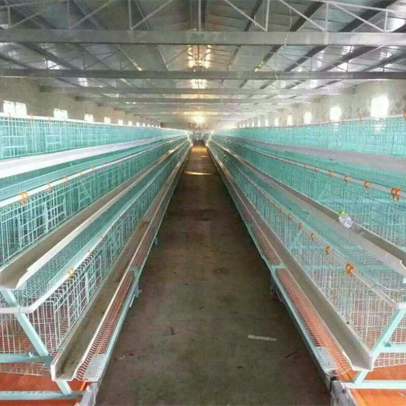 中州鸡笼厂 四层育雏鸡笼 放心养殖质量鸡笼