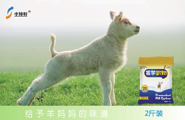 刚出生的小羊专用 羔羊代乳粉