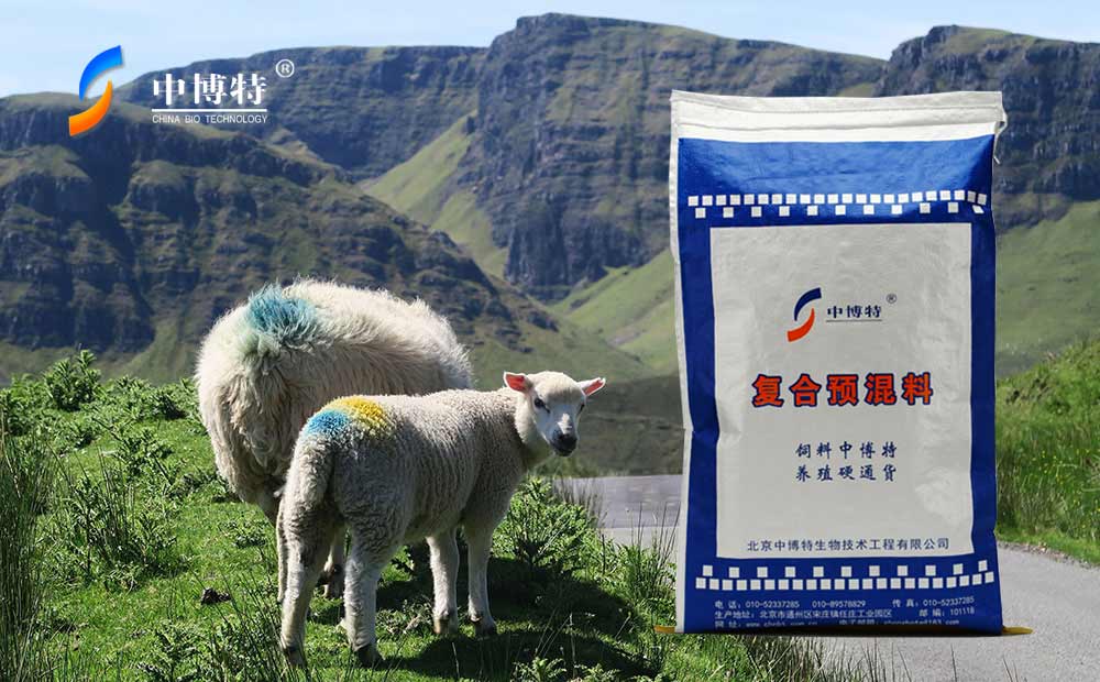 周围育肥羊预混料价格配方精准营养均衡