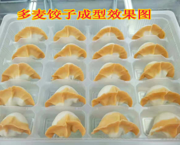 包头包合式多功能饺子机特惠价多少钱一台