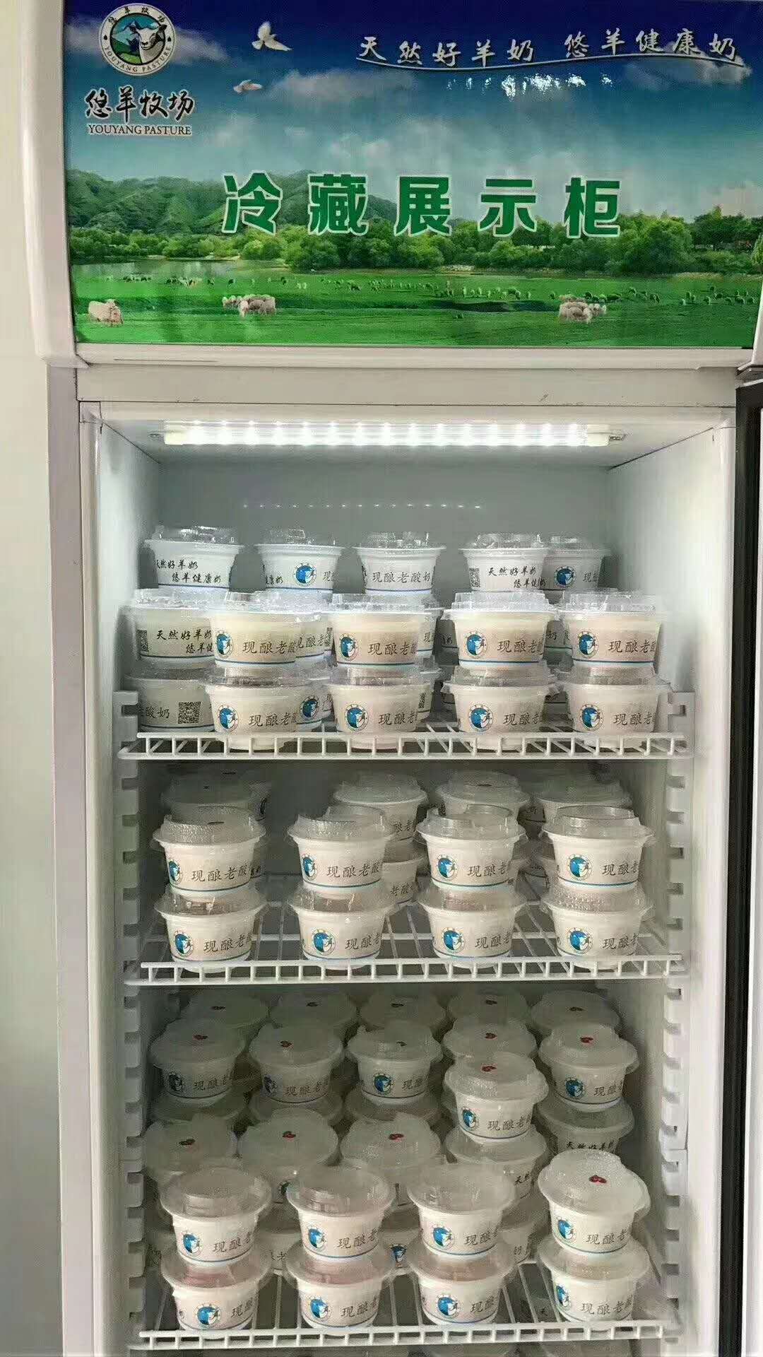 羊奶老酸奶技术教学羊奶老酸奶加盟盒装羊奶粉