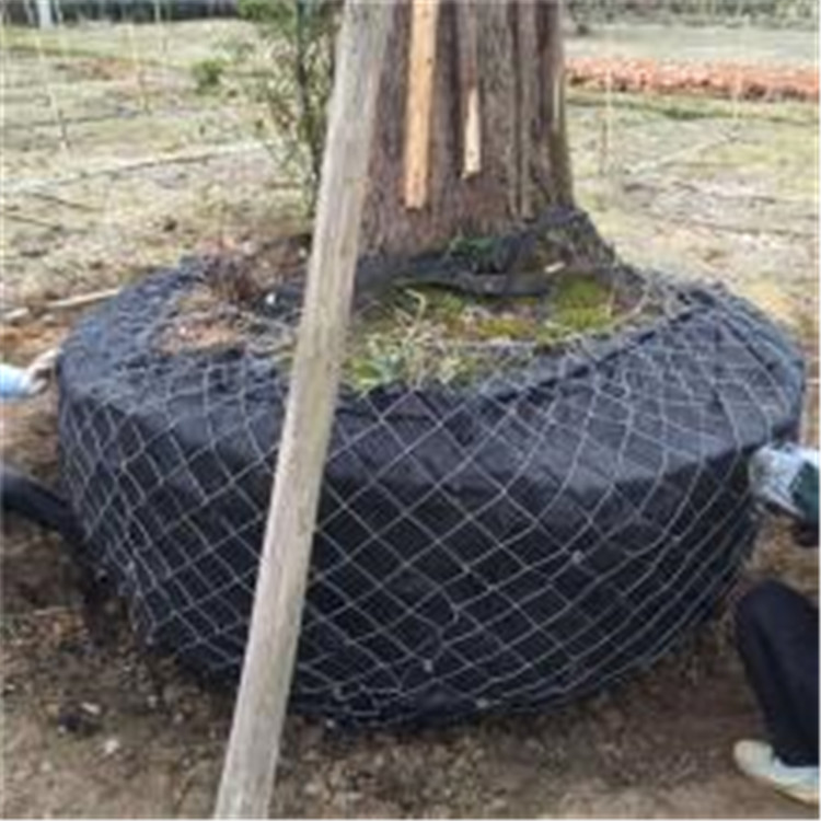 华磊保护土球网树根移植网山东包土球网兜