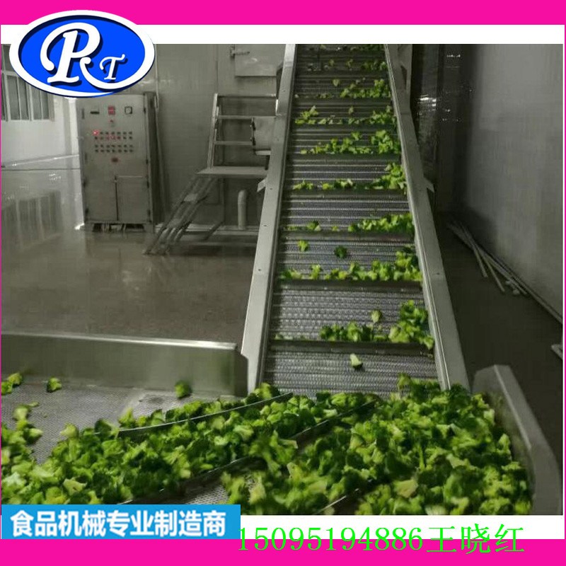 日通供应北京蔬菜清洗机  价格合理 免安装调式