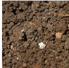 土壤容量检测汞镉重金属分析