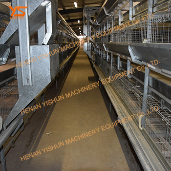 层叠式肉鸡笼自动化的家禽养殖设备